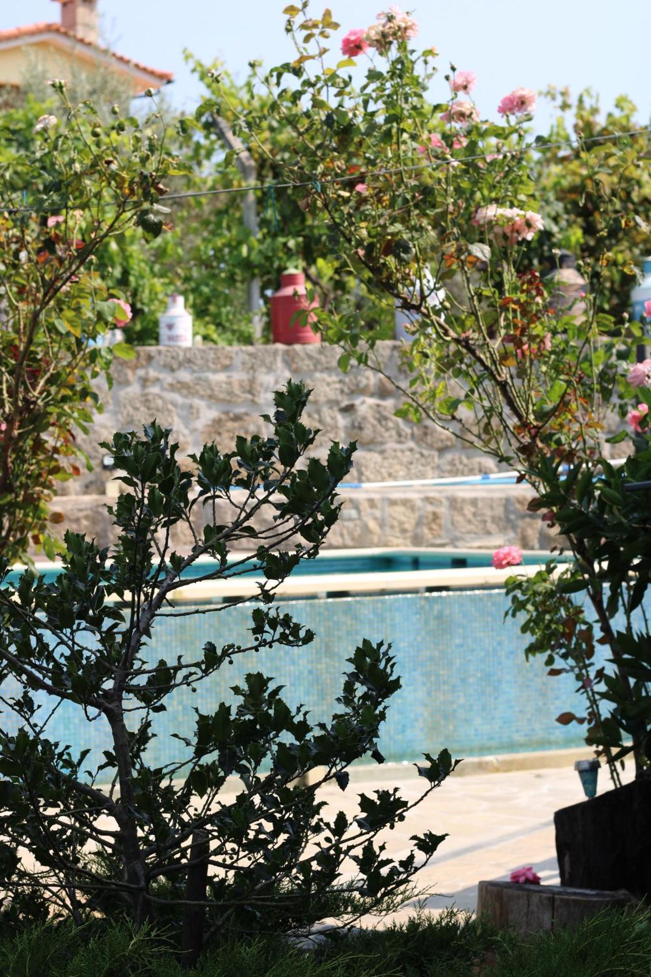 Casa Da Aldeia Da Avo Bed & Breakfast Valpacos Exterior photo