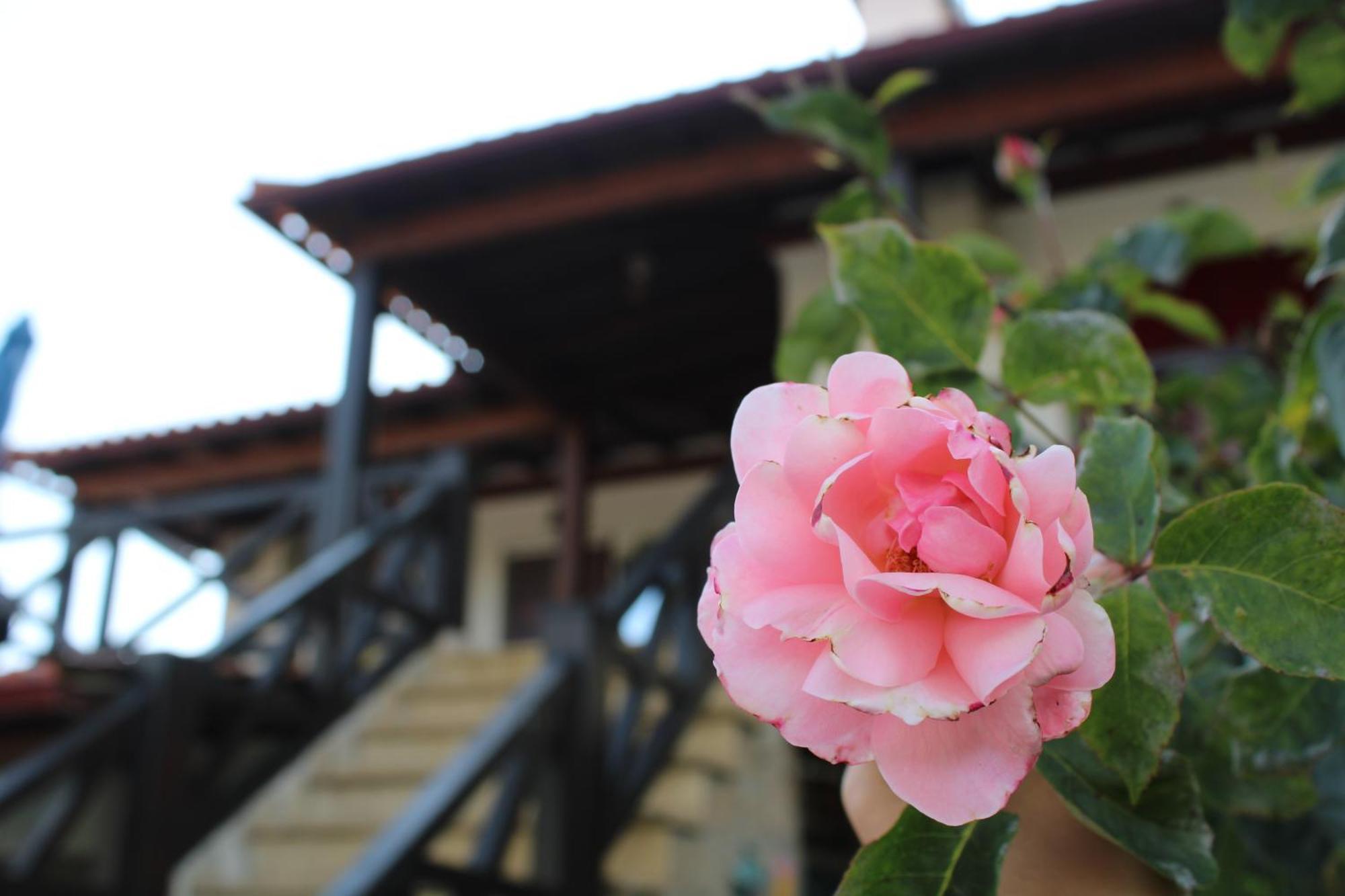 Casa Da Aldeia Da Avo Bed & Breakfast Valpacos Exterior photo